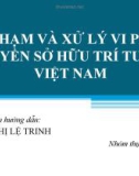 Bài thuyết trình: Vi phạm và xử lý vi phạm quyền sở hữu trí tuệ ở Việt Nam