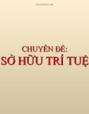 Bài giảng Chuyên đề: Sở hữu trí tuệ 1