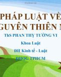 Bài giảng Luật môi trường: Chương 3 - ThS Phan Thỵ Tường Vi