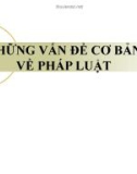 Bài giảng Pháp luật đại cương - Bài 3: Những vấn đề cơ bản về pháp luật