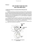 Giáo trình Miễn dịch học thú y - Chương 3