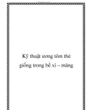 Kỹ thuật ương tôm thẻ giống trong bể xi – măng