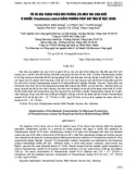 Tối ưu hóa thành phần môi trường lên men thu sinh khối vi khuẩn Pseudomonas stutzeri bằng phương pháp đáp ứng bề mặt (RSM)