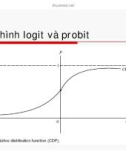 Kinh tế lượng - Hồi quy với biến giả và biến bị chặn part 3