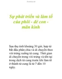 Sự phát triển và làm tổ của phôi - đẻ con mãn kinh