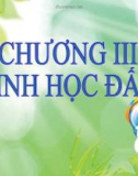 Chương 3: Sinh học đất