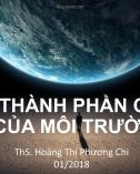 Bài giảng Môi trường đại cương: Các thành phần cơ bản của Môi trường - ThS. Hoàng Thị Phương Chi