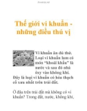 Thế giới vi khuẩn những điều thú vị