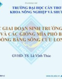 BÁO CÁO: CÁC GIAI ĐOẠN SINH TRƯỞNG CỦA MÍA VÀ CÁC GIỐNG MÍA PHỔ BIẾN Ở ĐỒNG BẰNG SÔNG CỬU LONG