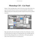Photoshop CS5 - Các Panel