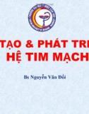 Bài giảng Sự tạo và phát triển hệ tim mạch - Bs. Nguyễn Văn Đối