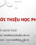 Bài giảng Nhập môn lập trình: Giới thiệu học phần - Trần Minh Thái