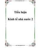 Tiểu luận Kinh tế nhà nước 2