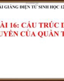 Bài giảng Sinh học 12 bài 16: Cấu trúc di truyền của quần thể