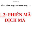 Bài giảng Sinh học 12 bài 2: Phiên mã và dịch mã