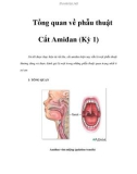 Tổng quan về phẫu thuật Cắt Amiđan (Kỳ 1)