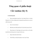 Tổng quan về phẫu thuật Cắt Amiđan (Kỳ 5)