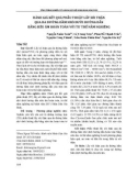 Đánh giá kết quả phẫu thuật lấy sỏi thận qua da đường hầm nhỏ dưới hướng dẫn bằng siêu âm hoàn toàn với tư thế nằm nghiêng