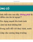 Bài giảng vật lý : Tia hồng ngoại và tia tử ngoại part 8