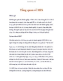 Tổng quan về MIS