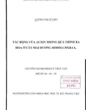 Đề Tài: Tác động của Auxin trong quá trình ra hoa ở cây Mai Dương Mimosa Pigral.