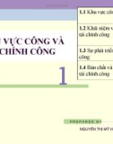 Bài giảng Tài chính công: Chương 1 - ThS. Nguyễn Thị Mỹ Hạnh