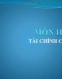 Bài giảng Tài chính công: Chương 1 - Lê Trường Hải