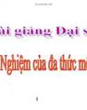 Bài giảng Đại số 7 chương 4 bài 9: Nghiệm của đa thức một biến