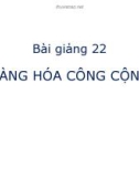 Bài giảng Kinh tế học vi mô dành cho chính sách công: Bài 22 - Hàng hóa công cộng (2021)