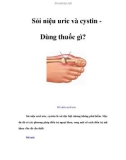 Sỏi niệu uric và cystin