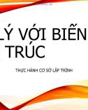 Bài giảng Thực hành cơ sở lập trình: Xử lý với biến và cấu trúc