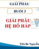 Bài giảng Giải phẫu: Buổi 2 - ThS.BS. Nguyễn Duy Tài