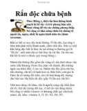 Rắn độc chữa bệnh