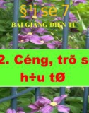 Bài giảng Đại số 7 chương 1 bài 2: Cộng, trừ số hữu tỉ