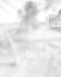 Các quy định pháp lý_Cơ chế điều phối ICOM