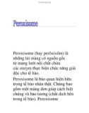 Peroxisome