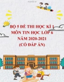 Bộ 5 đề thi học kì 1 môn Tin học lớp 6 năm 2020-2021 (Có đáp án)