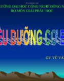 Bài giảng Điều dưỡng cơ bản I: Quy trình điều dưỡng - GV. Vũ Văn Tiến