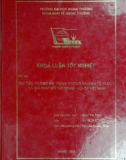 Khóa luận tốt nghiệp: Xúc tiến thương mại trong thương mại điện tử và một số giải pháp với các doanh nghiệp Việt Nam