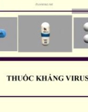 Bài giảng Dược lý chuyên đề - Thuốc kháng virus