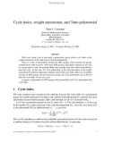 Báo cáo toán học: Cycle index, weight enumerator, and Tutte polynomial