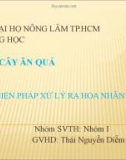 BÁO CÁO CÂY ĂN QUẢ BIỆN PHÁP XỬ LÝ RA HOA NHÃN 