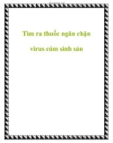 Tìm ra thuốc ngăn chặn virus cúm sinh sản