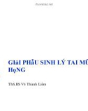 Bài giảng về Giải phẫu sinh lý tai mũi họng - Ths.Bs. Võ Thành Liêm