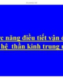 Bài giảng Chức năng điều tiết vận động của hệ thần kinh trung ương