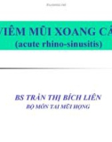 Bài giảng Viêm mũi xoang cấp - BS. Trần Thị Bích Liên