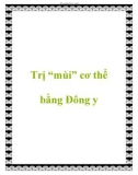 Trị “mùi” cơ thể bằng Đông y