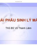 Bài giảng giải phẫu sinh lý mắt - ThS.BS. Võ Thành Liêm