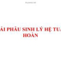 Bài giảng Giải phẫu sinh lý - Bài 5: Giải phẫu sinh lý hệ tuần hoàn