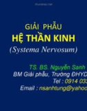 Bài giảng Giải phẫu hệ thần kinh